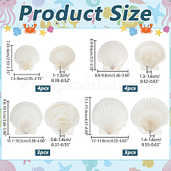 14 stücke 4 arten natürliche shell malerei zubehör&nbsp;DIY-NB0012-05