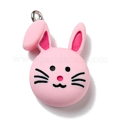 Pendentifs en résine opaque&nbsp;RESI-D055-040P