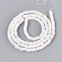 Fili di perle di conchiglia trochid naturale / trochus&nbsp;SSHEL-N040-21H