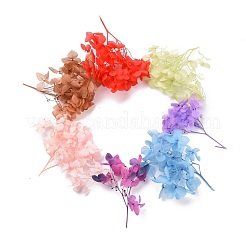 Getrocknete Blumen&nbsp;DIY-D052-17