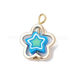 Handgefertigte Anhänger aus Polymerclay mit CCB-Kunststoffperlenrahmen&nbsp;PALLOY-JF04752