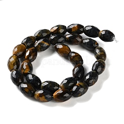 Teints tigre naturel perles oculaires brins&nbsp;G-C135-J04-01