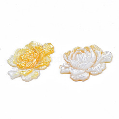 Naturgelbe Shell-Link-Anschlüsse&nbsp;SSHEL-S258-103B