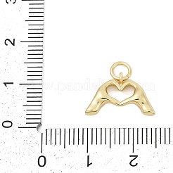Messing Anhänger & Charms&nbsp;KK-G522-21G