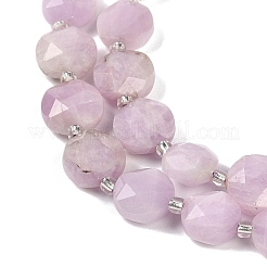 Naturperlen Stränge kunzite&nbsp;G-C116-A53-01