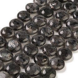 Natürliche Larvikit-Perlenstränge, Flachrund, Schwarz, 14.6~15.5x6~6.5 mm, Bohrung: 0.8 mm, ca. 27 Stk. / Strang, 15.59''~15.87'' (39.6~40.3 cm)