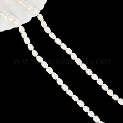 Nbeads 1 filo di perle di perle d'acqua dolce coltivate naturali, riso, bianco crema, 6~8x5~6mm, Foro: 0.8 mm, circa 48pcs/filo, 13.77 pollice~14.17 pollici