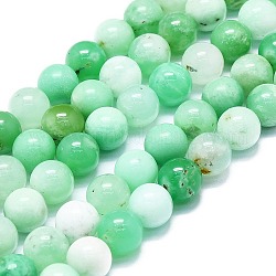 Natürliche Chrysopras-Perlenstränge, Runde, 9~9.5 mm, Bohrung: 1 mm, ca. 43 Stk. / Strang, 15.35'' (39 cm)