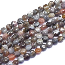 Natur Botswana Achat Perlen Stränge, Flachrund, 8x5 mm, Bohrung: 0.8 mm, ca. 51 Stk. / Strang, 15.55 Zoll (39.5 cm)