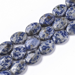Perles de jaspe tache bleue naturelle, ovale, 18x13.5x6~7mm, Trou: 1.2mm, Environ 20~22 pcs/chapelet, 15.55 pouce (39.5 cm)