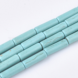 Chapelets de perles en turquoise synthétique, colonne, 13~13.5x4mm, Trou: 1mm, Environ 30 pcs/chapelet, 15.7 pouce