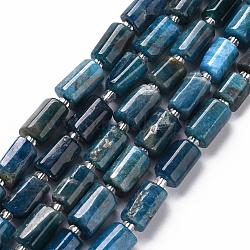 Natural Apatite Beads Strands, Faceted, Column, 8~11x6~8x5~7mm, Hole: 1mm, about 15~17pcs/strand, 7.28~7.48 inch