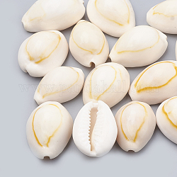 Perles en cauris, couleur de coquillage, 23~26x15~20x11~14mm, environ 150 pcs/500 g