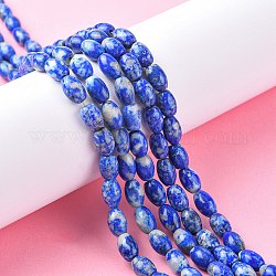 Chapelets de perles en lapis-lazuli naturel, tambour, 9x6mm, Trou: 1mm, Environ 43 pcs/chapelet, 153.54'' (390 cm)