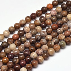 Bois pétrifié naturel brins de perles rondes, 6mm, Trou: 1mm, Environ 63 pcs/chapelet, 15 pouce