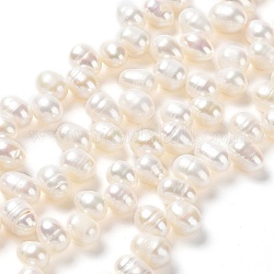 Fili di perle di perle d'acqua dolce coltivate naturali, riso, bianco antico, 8~12x7~8mm, Foro: 0.7 mm, circa 59~60pcs/filo, 13.98'' (35.5 cm)