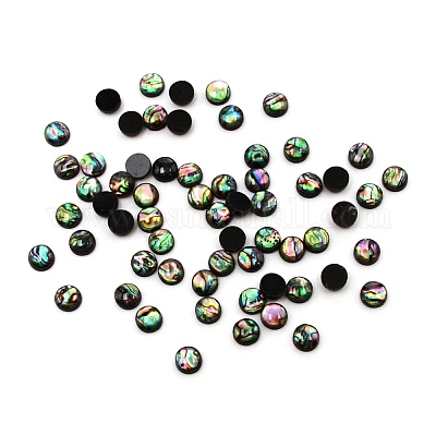Paua Shell Cabochons&nbsp;SHEL-WH0001-002A-1