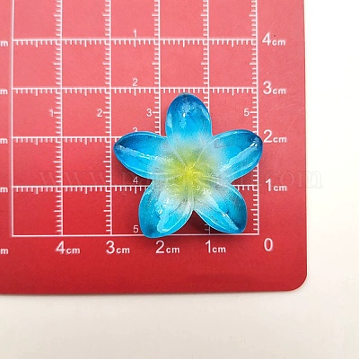 Undurchsichtigen Cabochons&nbsp;RESI-R455-01P-02-1
