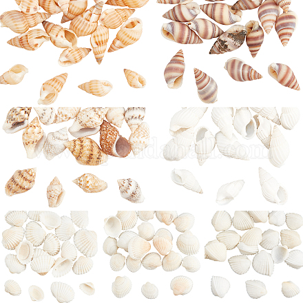 Olycraft 140Pcs 7 Style Natural Conch Shell Beads BSHE-OC0001-01-1