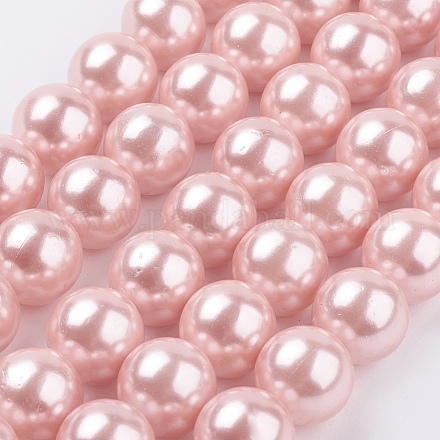 Chapelets de perles de coquille X-BSHE-G013-12mm-02-1