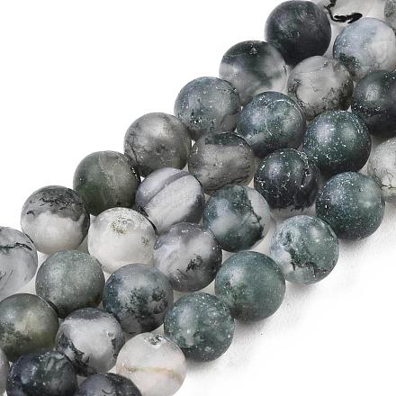 Chapelets de perles en agate mousse naturelle G-T106-016-1