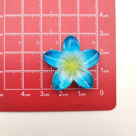 Undurchsichtigen Cabochons&nbsp;RESI-R455-01P-02-1