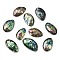 Natural Paua Shell Cabochons, Oval, Colorful, 30~39x18~23x5~7.5mm