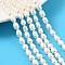 Natural Cultured Freshwater Pearl Beads Strands, Rice, Grade 2A+, Old Lace, 5~6mm, Hole: 0.7mm, about 44~49pcs/strand, 13.78~13.98''(35~35.5cm)