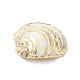 天然石海シェルペンダント  貝殻の形のチャーム  明るい金色の真鍮のパーツと  17.5~26x16.5~26x4~7.5mm  穴：1.4~1.8mm SHEL-F005-06LG-4