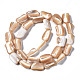 Chapelets de perles de coquille de trochid / trochus coquille SSHEL-S266-014B-2