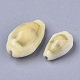 Perle naturali di conchiglia di ciprea SSHEL-N034-C-26-2