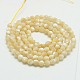 Chapelets de perles de coquillage naturel G-K020-3mm-02-2