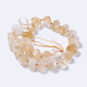 Chapelets de perles de citrine naturelle G-F568-188-2