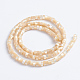 Chapelets de perles de coquille de trochid / trochus coquille SSHEL-L016-13B-3