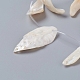 Eau douce naturelle de coquillage perles brins BSHE-D019-06-3