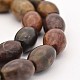 Oval Natural Picasso Stone/Picasso Jasper Beads Strands G-M137-01-1