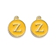 Encantos de esmalte de aleación de oro plateado ENAM-Q437-13Z-1