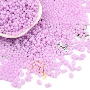 Выпечка краска стеклянные бусины SEED-L011-09A-10