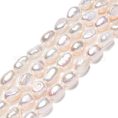 Hebras de perlas de agua dulce cultivadas naturales, dos lados pulidos, blanco, 7~8x5.5~6.5mm, agujero: 0.7 mm, aproximamente 41 pcs / cadena, 13.19~13.39 pulgada (33.5~34 cm)