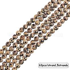 Dalmatiner Jaspis Natursteinperle Stränge&nbsp;G-OC0001-56