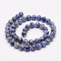 Brins de perles de jaspe de tache bleue naturelle&nbsp;X-G-R193-15-6mm