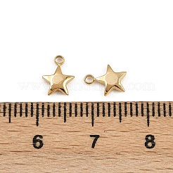 Anhänger aus 304 Edelstahl&nbsp;STAS-K295-15G
