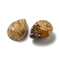 Natur Bildjaspisses cabochons&nbsp;G-Q173-02B-13