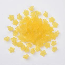 Transparente Acryl Perlen&nbsp;PL554-08
