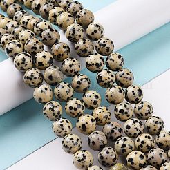 Dalmata naturale perline di diaspro fili&nbsp;G-Q462-10mm-30
