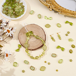 120pcs 6 styles de perles acryliques transparentes&nbsp;OACR-SC0003-09
