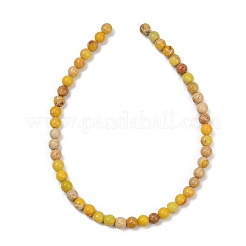 Gefärbte natürliche Regalit/Imperial Jaspis/Meeressediment Jaspis Perlen Stränge&nbsp;G-B124-C04-04