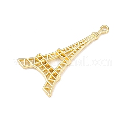 Aluminium Anhänger & Charms&nbsp;PALLOY-P315-04G
