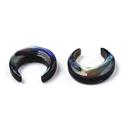 Perles de coquille d'ormeau naturel/coquille de paua&nbsp;SSHEL-N034-122B-01