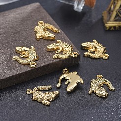 Aluminium Anhänger & Charms&nbsp;LS-TIBEP-A040-015G-NR